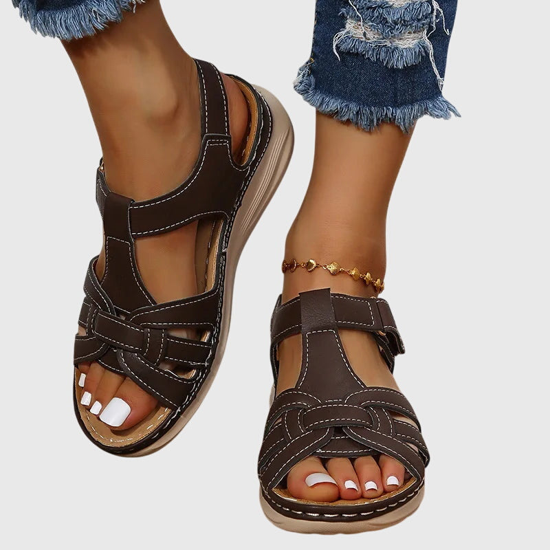 Marron foncé / 35