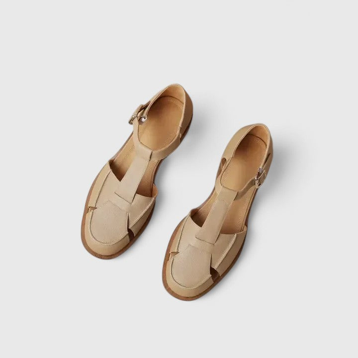 Kaki / 35